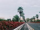 Bike lane separate from the main road