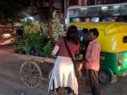 This rickshaw honked at my friend who was trying to buy flowers on the street!