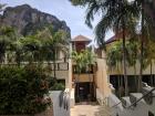 Some of the palm trees in Ao Nang contrasted with the cliffs