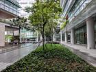 Many buildings have trees and grass planted alongside them