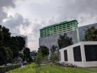 Even the middle of the city has spots of greenery to promote a greener living