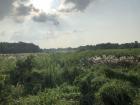 This is one of the open grasslands near the front of the park