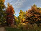 Autumn in Germany has to be one of my favorite seasons because of the colors!