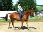 Having fun while horseback riding 