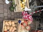 Pumpkins and gourds at the Herbstmarkt