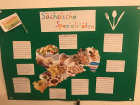 My host's daughter's project on Saxon food