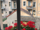 A view from my kitchen window