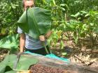 This is me hiding behind a big banana leaf—  or is it really me?