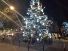 A Christmas tree in the city plaza