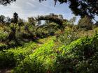 A botanical garden in Luxembourg