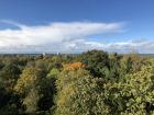 One of Estonia's many forests, essential to the forestry industry here