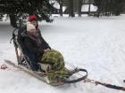 The sled carried my friend and me behind the dogs as they ran