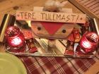 Tere Tulemast means "Welcome" in Estonian