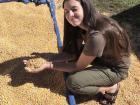 Examining the corn as I explore a farm. I am so interested in what I study, and I'm fortunate to dedicate my time to something I think is important and impactful on the world.