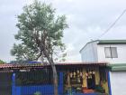 The fruit stand in my neighborhood 