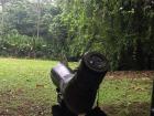 My professor spotted a sloth super far away, so we used a very strong telescope to take a look