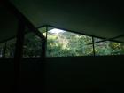 I was stunned by the beautiful view of the trees when I woke up on the top bunk at the research station