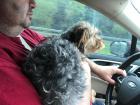 Piper really knows how to take control as she's teaching my dad how to drive and showing him who's boss