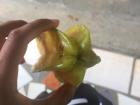 A star fruit straight from the tree 