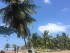 Playa Jacó: Tropical Paradise