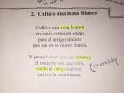 "Cultivo una Rosa Blanca"