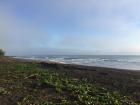 The nearby beach in Tortuguero