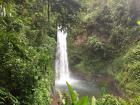 A waterfall inside of a wildlife rescue 