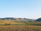 Horses prepared for riding in Kharkhorin