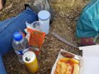 The delicious lunch that I ate on top of a mountain I hiked