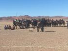 A nomadic family in the countryside migrating with their camels and horses.