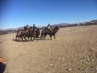 A camel race!