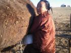 Gerlee milking a camel and wearing the traditional deel. 