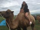 Another camel ride! Camels are one of the best ways for people to get across the desert. 