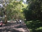 Bikers riding along the path by East Lake