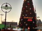 The city of Dortmund exhibits the largest Christmas tree in Europe