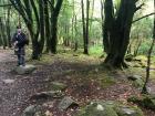 A bagpiper in Killarney National Park