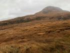 Diamond Hill in Connemara National Park! The hike that day was especially windy and rainy!