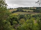The Exeter hills I see when walking with some small sheep in the distance