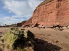 The Jurassic Coast in Exmouth