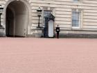 A member of the New Guard standing after the ceremony