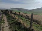 The fields and rolling hills of Southwest England 