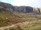 A view from the base of the Quirang with a sheep