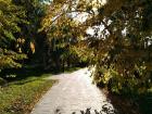 One of the many Omsk parks; this one surrounds the Assumption Cathedral