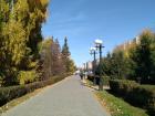 Even in the center of the city, birch trees are still prominent parts of the landscape