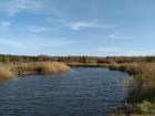 When we passed by the lake at the end of the day, there was a small dog chasing the ducks in the water