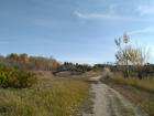 One of the largest parks in Omsk; it even has its own bridge