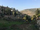 More terraces and a view towards Israel