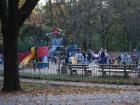 A fun playground in the park