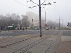Did you know that the trams run using electric wires above?