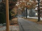 A cloudy autumn day in Belgium